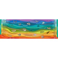 Geological Time Puzzle