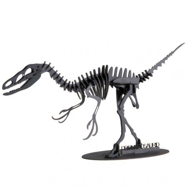 3D Papiermodell Dromaeosaurus