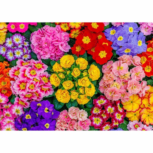 Wooden Puzzle Blooming Flowers (L)
