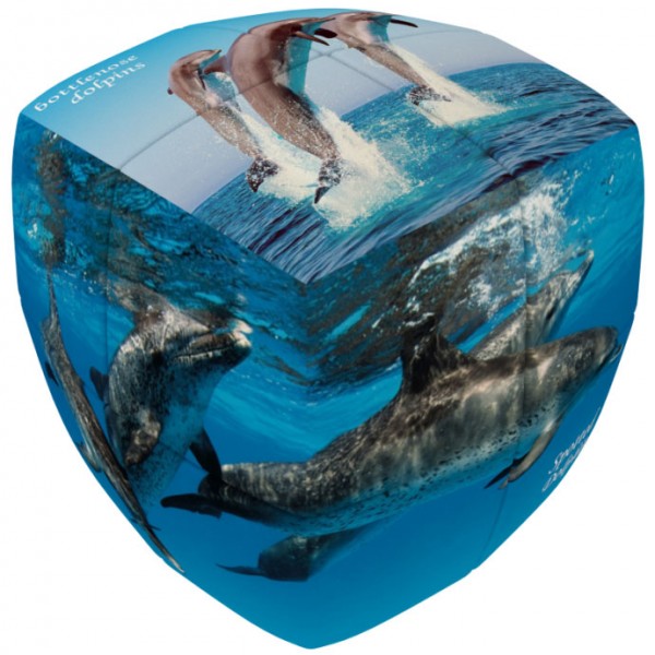 V-Cube 2 Essential - Delfine